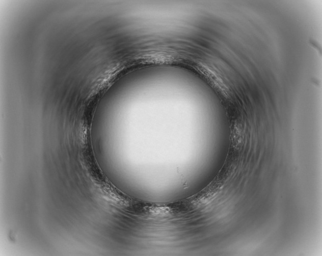 X0000093380355200710251222