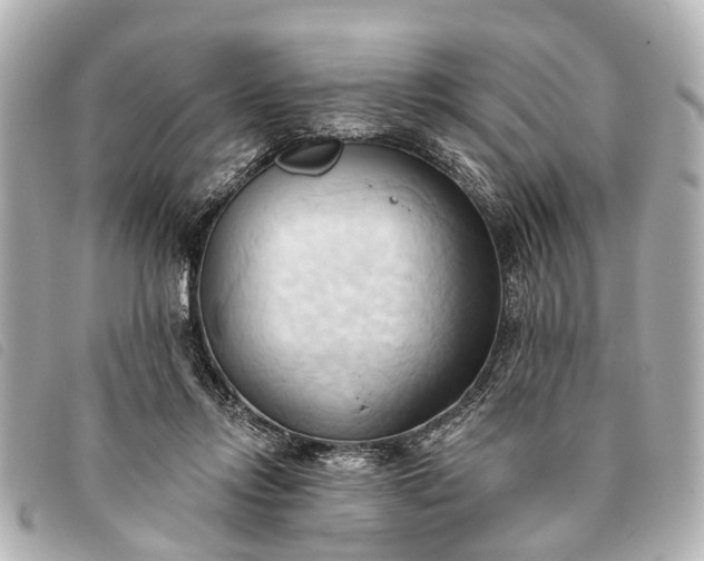 X0000093380358200710251222