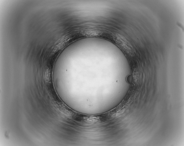 X0000093380359200710251222