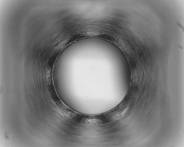 X0000093380360200710251222