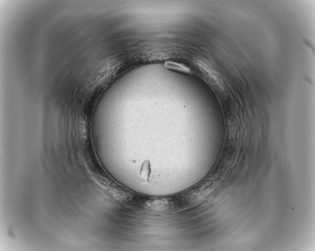 X0000093380362200710251222