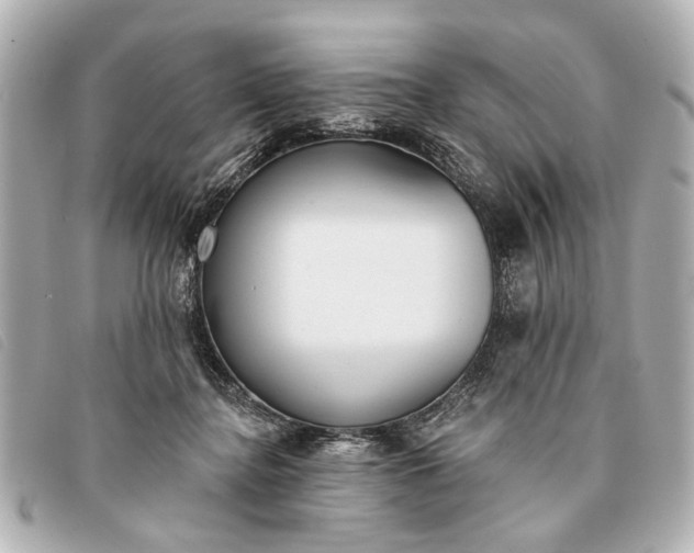 X0000093380364200710251222