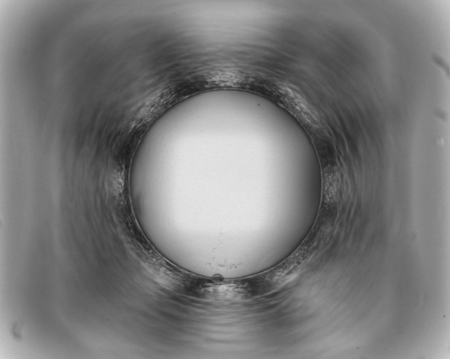 X0000093380365200710251222