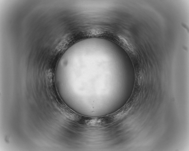 X0000093380366200710251222