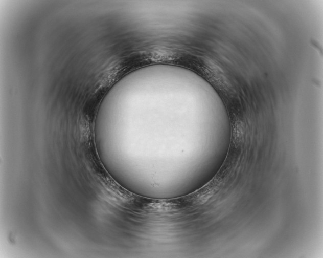 X0000093380367200710251222