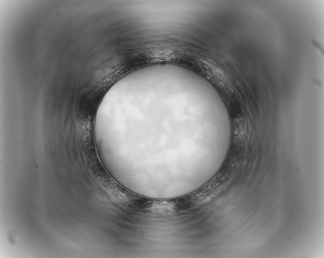 X0000093380369200710251222