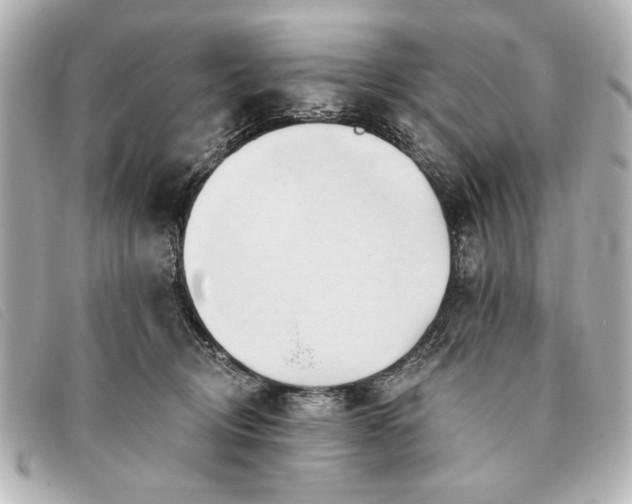 X0000093380370200710251222