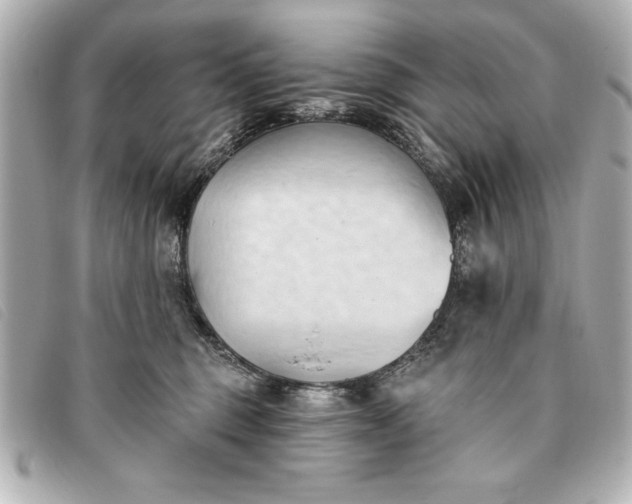 X0000093380375200710251222