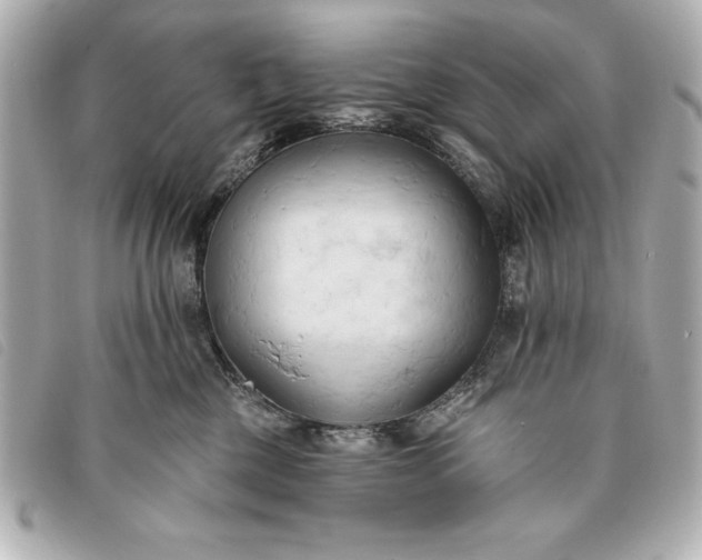 X0000093380377200710251222