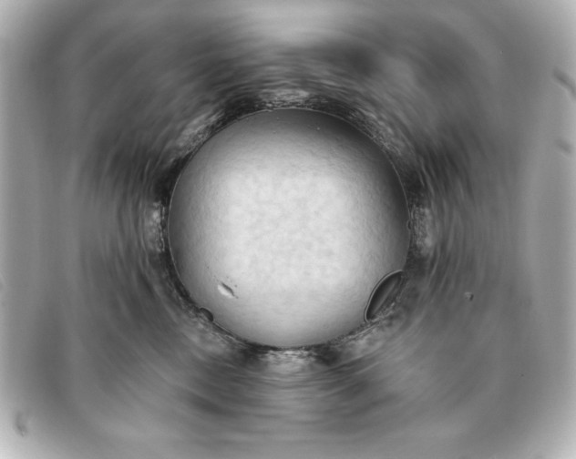 X0000093380378200710251222