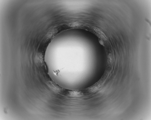 X0000093380380200710251222