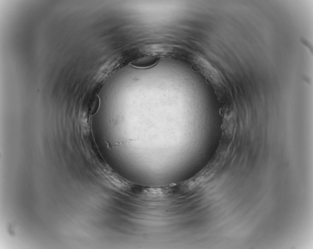 X0000093380381200710251222