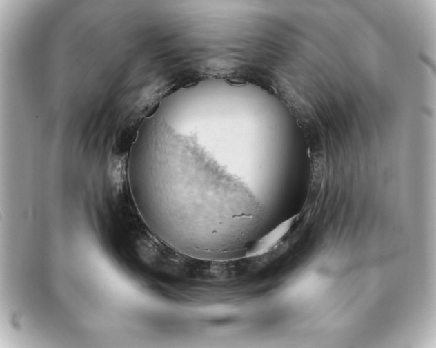 X0000093380383200710251222