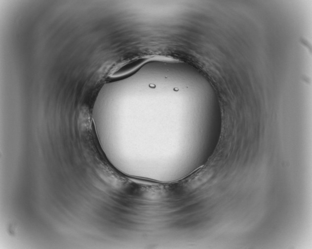 X0000093380384200710251223