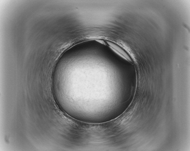 X0000093380385200710251222