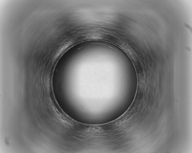 X0000093380386200710251222