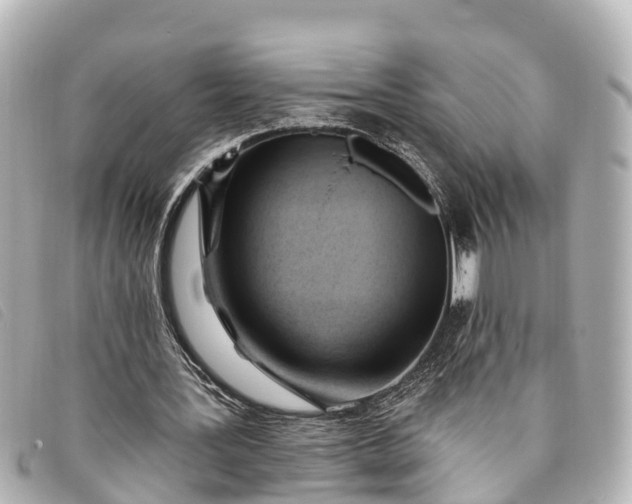 X0000093380387200710251222