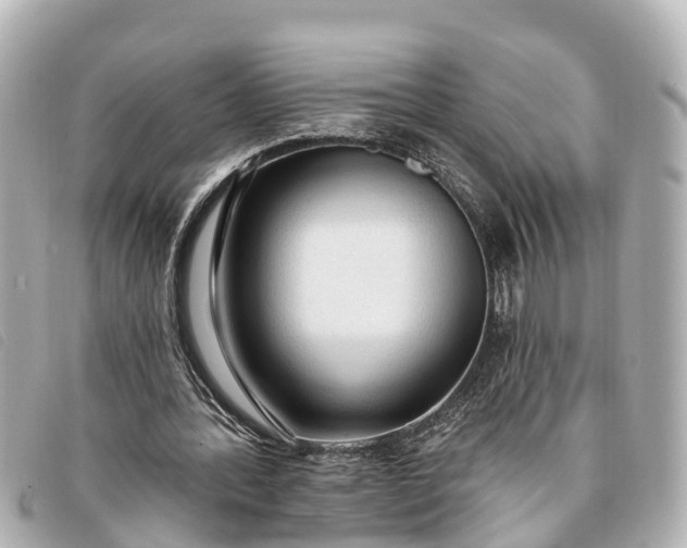 X0000093380388200710251222