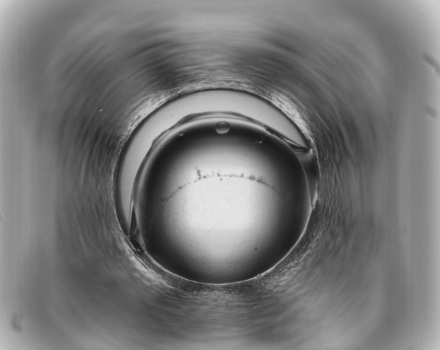 X0000093380389200710251222