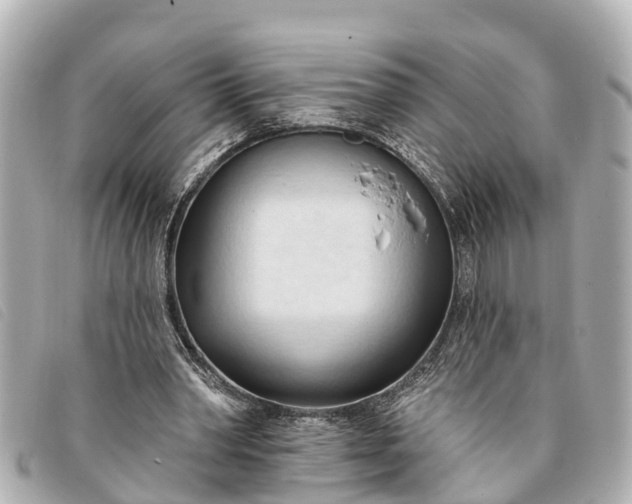 X0000093380390200710251222