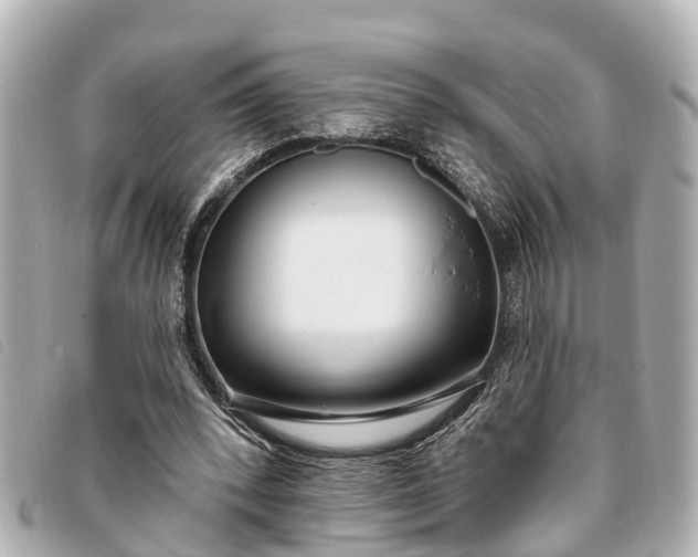 X0000093380392200710251222