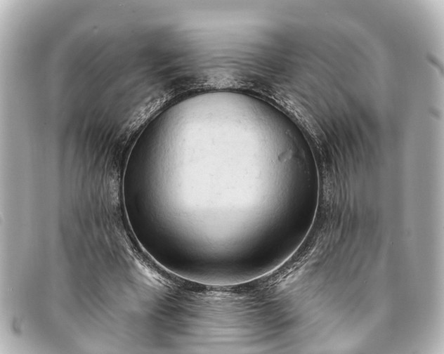 X0000093380393200710251222