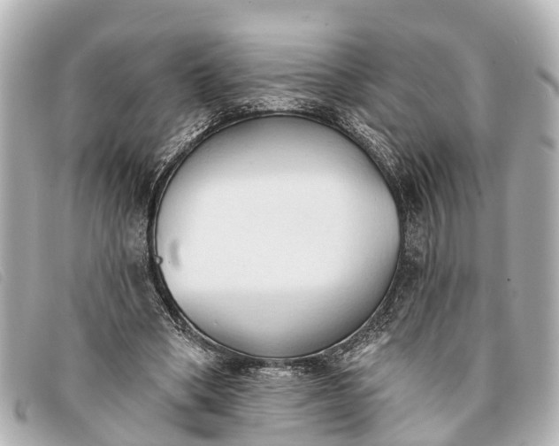 X0000093380394200710251222