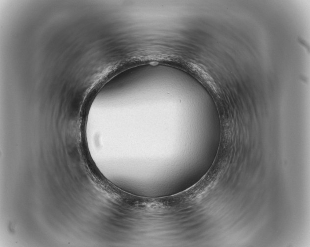 X0000093380395200710251222