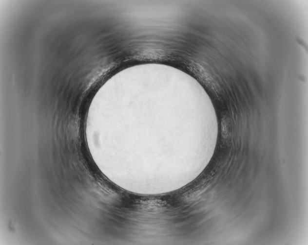 X0000093380396200710251222