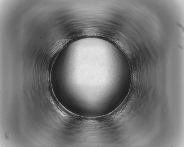 X0000093380397200710251222