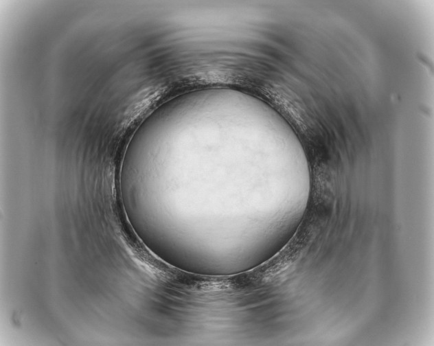 X0000093380398200710251221