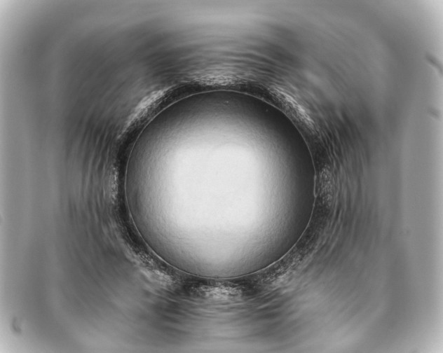 X0000093380400200710251221