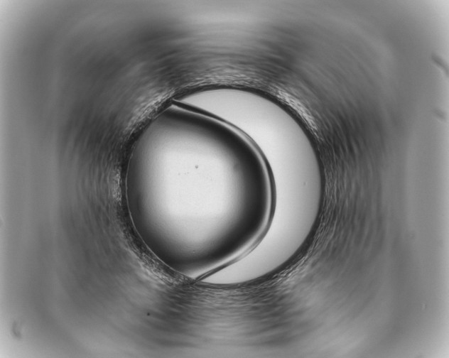 X0000093380403200710251221