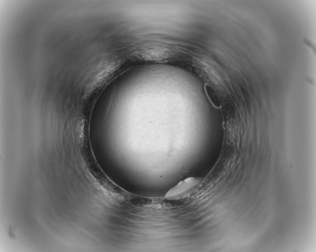 X0000093380404200710251221