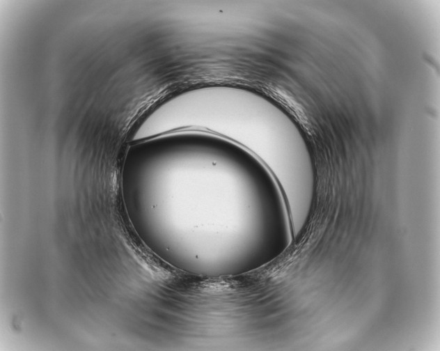 X0000093380405200710251221