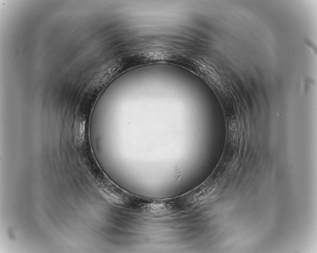 X0000093380406200710251221