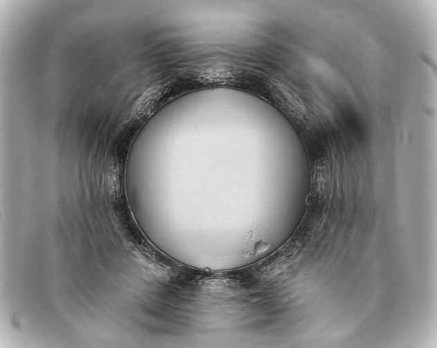 X0000093380408200710251221