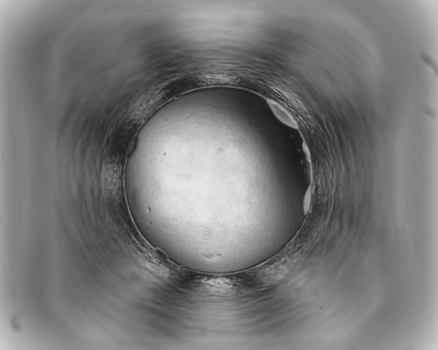 X0000093380409200710251221