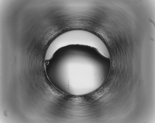 X0000093380411200710251221