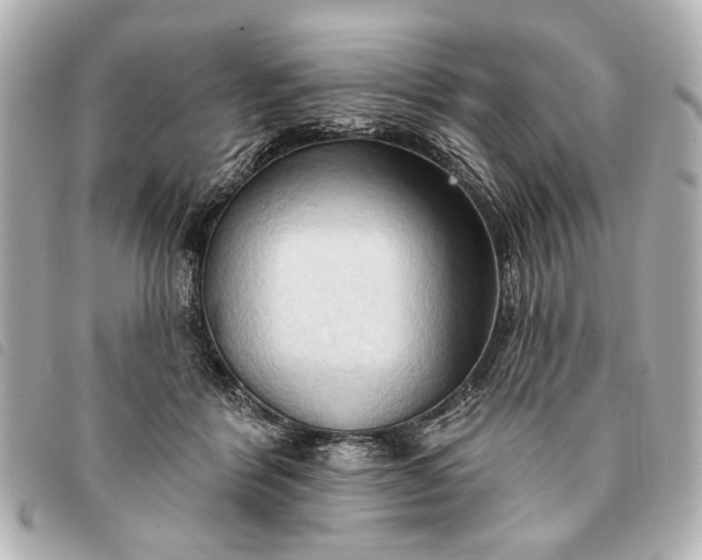 X0000093380412200710251221