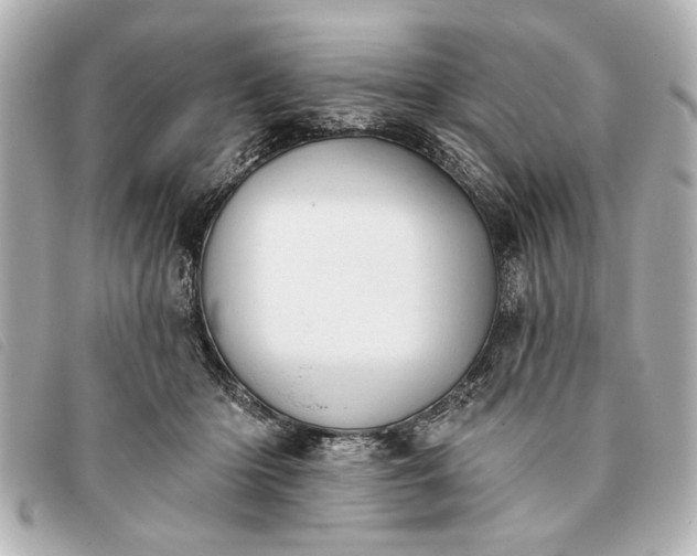 X0000093380414200710251221