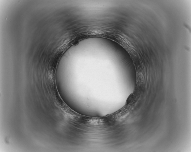 X0000093380415200710251221