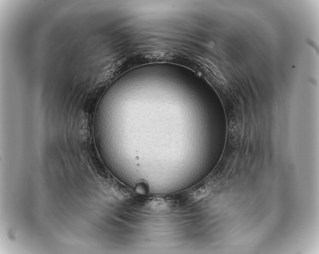 X0000093380416200710251221