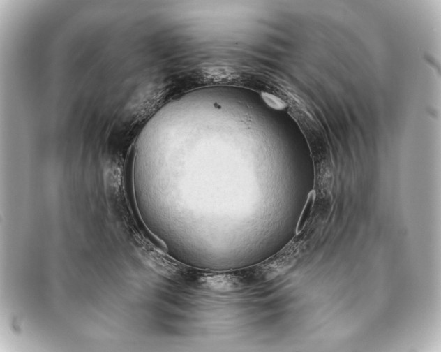 X0000093380417200710251221