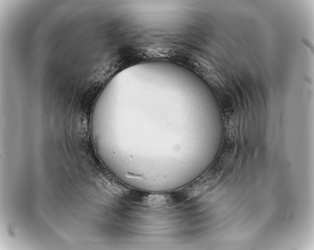 X0000093380418200710251221