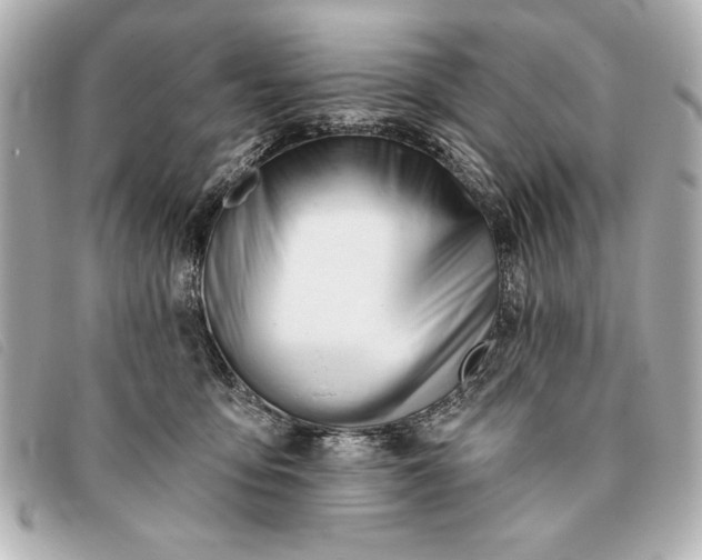 X0000093380419200710251221