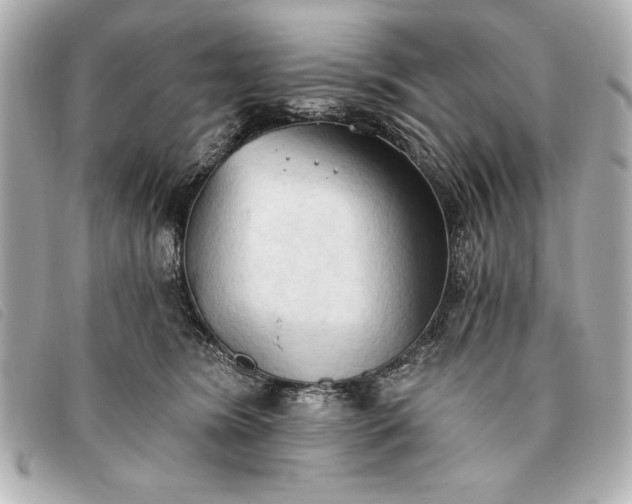 X0000093380420200710251221