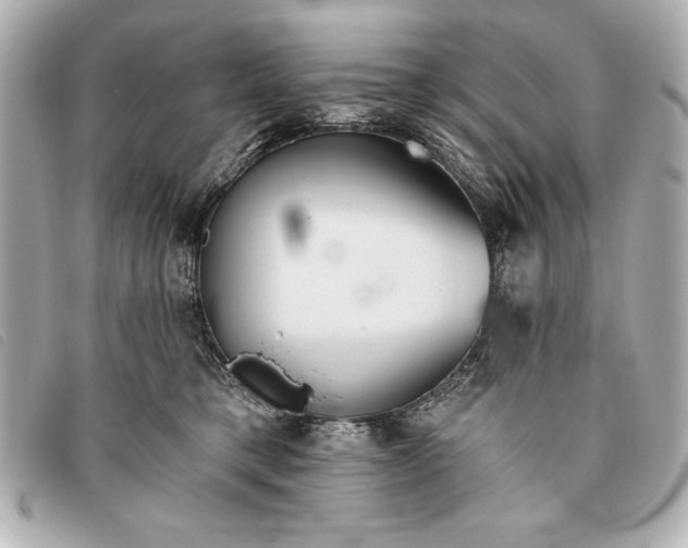 X0000093380421200710251221