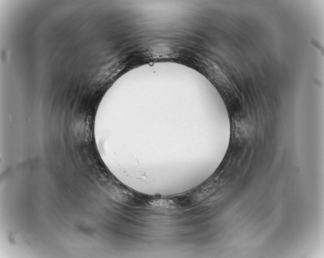 X0000093380422200710251221