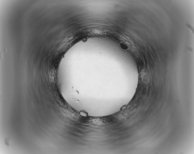 X0000093380423200710251221